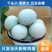 农家绿壳土鸡蛋含微量元素新鲜鸡蛋月子蛋柴鸡蛋绿壳笨鸡蛋乌鸡蛋