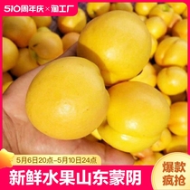 黄金油桃新鲜水果5斤大果脆甜桃子脆桃山东蒙阴蜜桃当季黄桃整箱