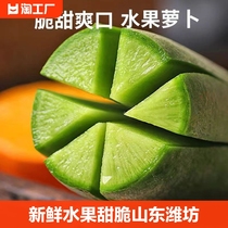 青萝卜新鲜水果萝卜甜脆水果型山东潍坊沙窝萝卜10斤生吃正宗即食