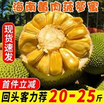 海南菠萝蜜一整个新鲜水果当季黄肉波罗蜜整箱特产包邮40斤红果肉