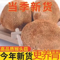 猴头菇干货新东北纯长白山猴头菌煲汤养胃粉中药材官方旗舰店