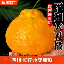 四川不知火丑橘10斤水果新鲜当季整箱耙耙橘子桔子丑柑粑粑入口