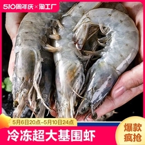 大虾冷冻超大基围虾特大青虾生鲜活对虾速冻海虾虾类海鲜水产青岛