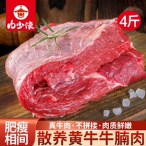 牛腩新鲜牛肉4斤国产黄牛肉雪花鲜切牛腩块家用生鲜冷冻