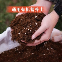营养土养花通用型种菜种花专用花土家用有机泥炭土壤多肉花卉种植
