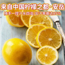 四川真安岳黄柠檬3斤新鲜水果精选薄皮香水鲜甜柠檬生鲜一级皮薄