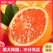 中华红橙3斤大果甜春橙湖北宜昌水果鲜脐橙