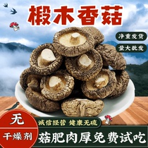 伏牛山香菇椴木香菇500g干货商用农家野生菌菇小香菇冬菇花菇新货