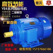 三相异步电动机YE4系列电机全铜国标YE4-160L-4极15KW电机380V