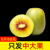 陕西汉中红心猕猴桃24个装大果新鲜包邮当季超甜水果奇异果非绿心