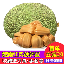 越南进口红肉菠萝蜜8-26斤一整个大果新鲜水果当季红心树波罗蜜