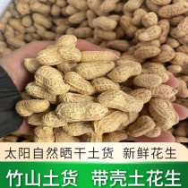 重庆四川特产新鲜现挖晒干小花生农家自种带壳小籽干花生可吃榨油