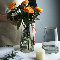 舍里花瓶玻璃透明摆件客厅 插花水养轻奢高级感网红小鲜花瓶ins风