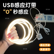USB接口插电无光斑智能人体感应灯床底夜灯鞋衣柜硅胶柔性LED灯带