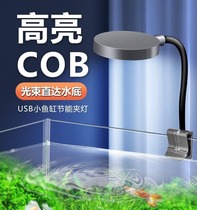 鱼缸小夹灯水草灯鱼缸灯USB小鱼缸灯桌面鱼缸灯LED鱼缸小型迷你灯