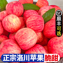 洛川苹果陕西红富士水果新鲜当季整箱10斤延安特产一级应季萍果