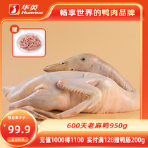 华英生鲜散养老麻鸭新鲜2年老鸭肉生鲜农家土鸭整鸭冷冻鸭子950g