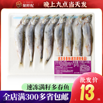 进口带籽多春鱼满籽 海鲜烧烤食材新鲜冷冻鲜活水产日本料理带籽