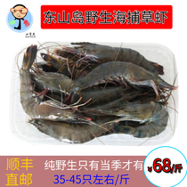 东山岛海鲜水产国产海捕草虾对虾黑虎虾250g*2份约15-20条大虾