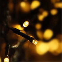LED绿线防水彩灯灯串10米100灯粗线节日圣诞装饰灯串户外工程串灯
