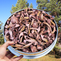 东北红蘑菇干货野生松树伞蘑菇特产干蘑菇肉蘑鸡血蘑红松蘑松菇菌