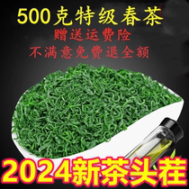 2024新茶叶特级日照绿茶春茶板栗香豆香炒青耐泡500克浓香散装