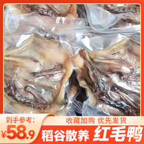 【品牌质保】江西遂川板鸭红毛鸭品种优质板鸭700g左右一只瘦肉型