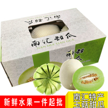 上海南汇特产玉菇甜蜜瓜10-11斤整箱青皮绿肉精选大当季新鲜水果