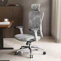 西昊人体工学椅M57电脑椅家用舒适久坐靠背椅护腰椅子转椅办公椅