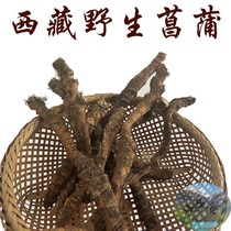 250g 西藏林芝野生藏菖蒲 石菖蒲 九节鞭 味道比成都