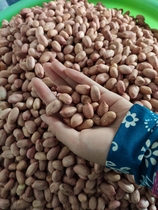 新鲜粉红皮5斤农家产22年山东威海大花生米手剥花生养胃1斤生原味