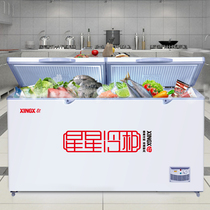 XINGX/星星BD/BC-406E升大冰柜商用单温冷藏冷冻柜大容量卧式雪柜