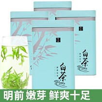 2024新茶上市正宗安吉特产白茶250g明前特级珍稀绿茶散装礼盒