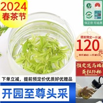 2024新茶预定<em>正宗安吉白茶</em>开园至尊头采明前特级绿茶核心产地茶叶
