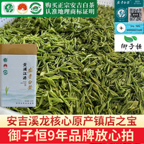 2024新茶上市正宗明前精品特级嫩芽安吉白茶高山绿茶核心产区