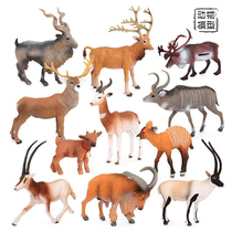 11款鹿羊模型驯鹿麋鹿藏羚羊捻角山羊苍羚剑羚红迪鹿摆件儿童玩具