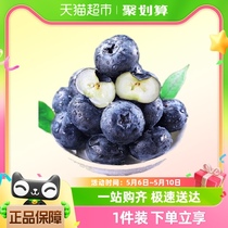云南蓝莓高山4盒 单盒125g新鲜水果顺丰包邮整箱
