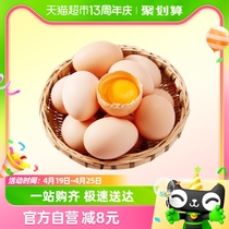 【包邮】蛋悠品新鲜散养柴鸡蛋自养笨鸡蛋土鸡蛋45g*6枚谷草鸡蛋