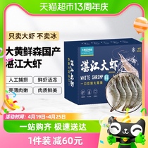 大黄鲜森湛江大虾水产大虾1.5kg/2030鲜活冷冻国产大虾