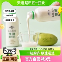 云南乍甸森林牧场慢酵稠酸奶250g*8瓶装零添加低温风味发酵乳