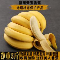 福建天宝黄皮香蕉新鲜现摘3/5斤当季绿皮水果自然熟高山蕉甜大蕉
