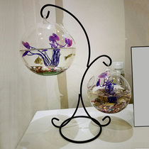 创意桌面小鱼缸小型悬挂生态圆形透明玻璃迷你金鱼斗鱼缸家用客厅