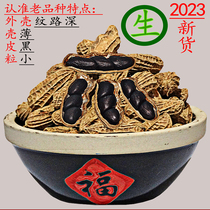 云南黑花生普洱特产味甜生吃小零食山野露珠23年新花生米带壳500g