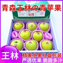 当季水果多汁苹果精品脆甜礼盒装青森新鲜日本正宗王林引种青苹果