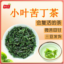海南特产 小叶苦丁茶250g 正品新茶头采 野生嫩芽青山绿水苦丁茶