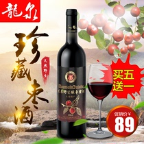 大连龙泉野生酸枣蜜酒2012年果酒枣酒自酿750ml瓶装特产11度甜酒