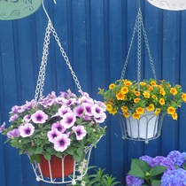 铁艺欧式复古做旧花瓣吊篮阳台花园庭院露天垂吊悬挂花盆垂吊花篮