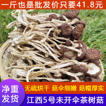 新货 茶树菇干货500g不开伞江西茶树菇煲汤蘑菇茶薪菇干锅食材