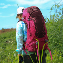 旅行登山包双肩男女大容量徒步野营背包防水专业旅游户外背囊50L