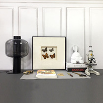 样板间书桌摆件蝴蝶昆虫标本主图软装书房显微镜台灯组合装饰品